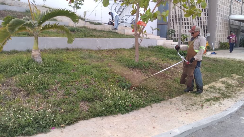 PARQUES Y JARDINES LIMPIA ESTACIONAMIENTO DEL TREN MAYA