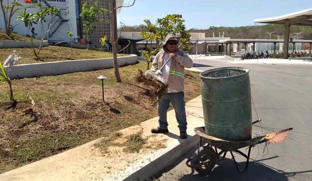 PARQUES Y JARDINES LIMPIA ESTACIONAMIENTO DEL TREN MAYA
