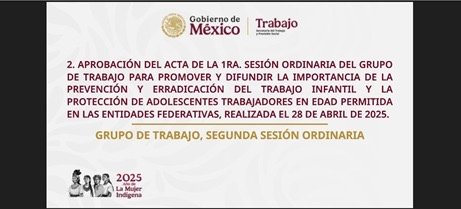 LA SUBSECRETARÍA DE TRABAJO Y PREVISIÓN SOCIAL PARTICIPÓ EN LA 2ª SESIÓN ORDINARIA DEL GRUPO DE TRABAJO NACIONAL CONTRA EL TRABAJO INFANTIL