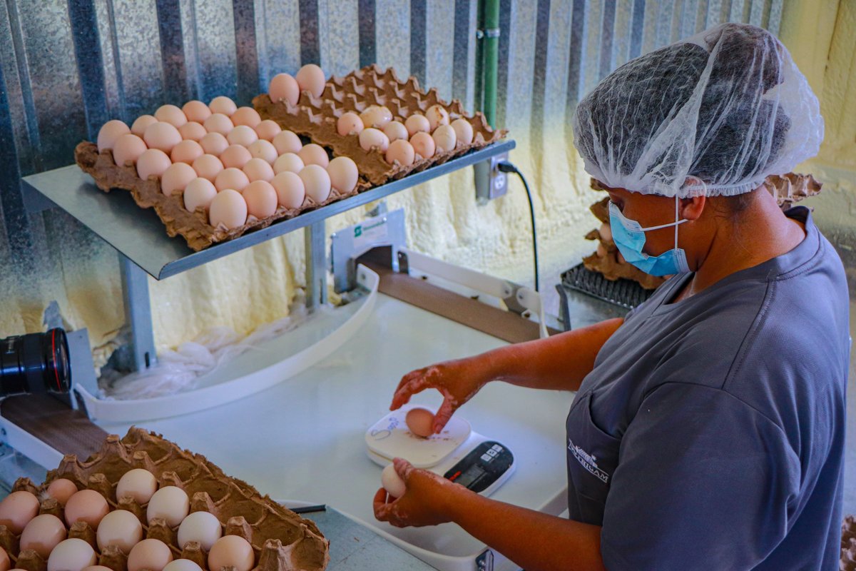 CAMPECHE, PRINCIPAL ESTADO PARA LA LLEGADA DE MÁS EMPRESAS DE TALLA MUNDIAL COMO PILGRIM’S