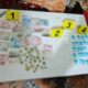 VINCULACIÓN A PROCESO POR DELITO CONTRA LA SALUD