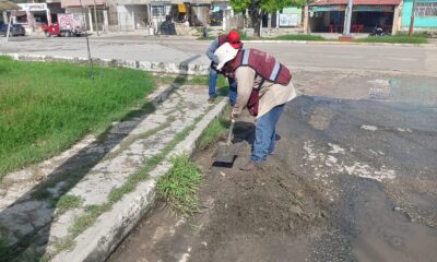 SEDUMOP REALIZA LIMPIEZA DE CALLES Y ALCANTARILLAS