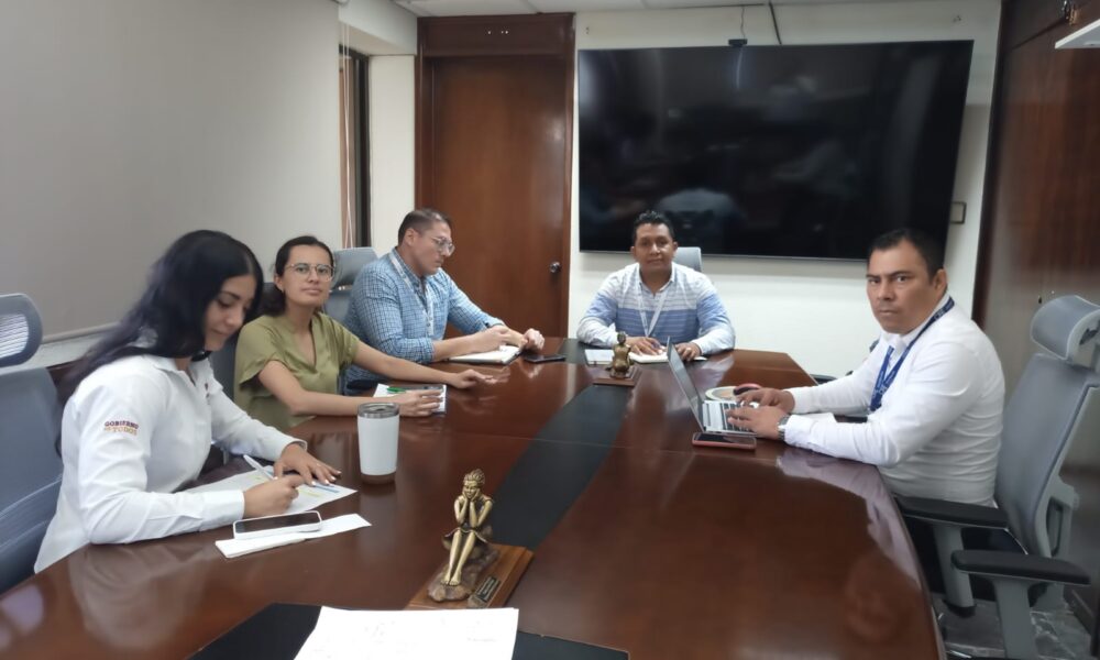 LA AGENCIA DE ENERGÍA SE REÚNE CON PERSONAL DE CFE PARA FACILITAR PROCESOS DE INTERCONEXIÓN