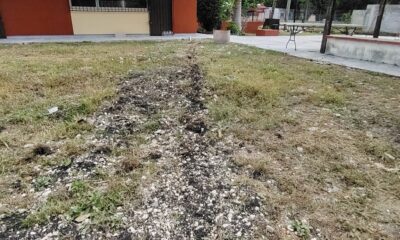 MEJORAMIENTO DE LA TELESECUNDARIA N°49 EN ADOLFO RUÍZ CORTINES, CAMPECHE