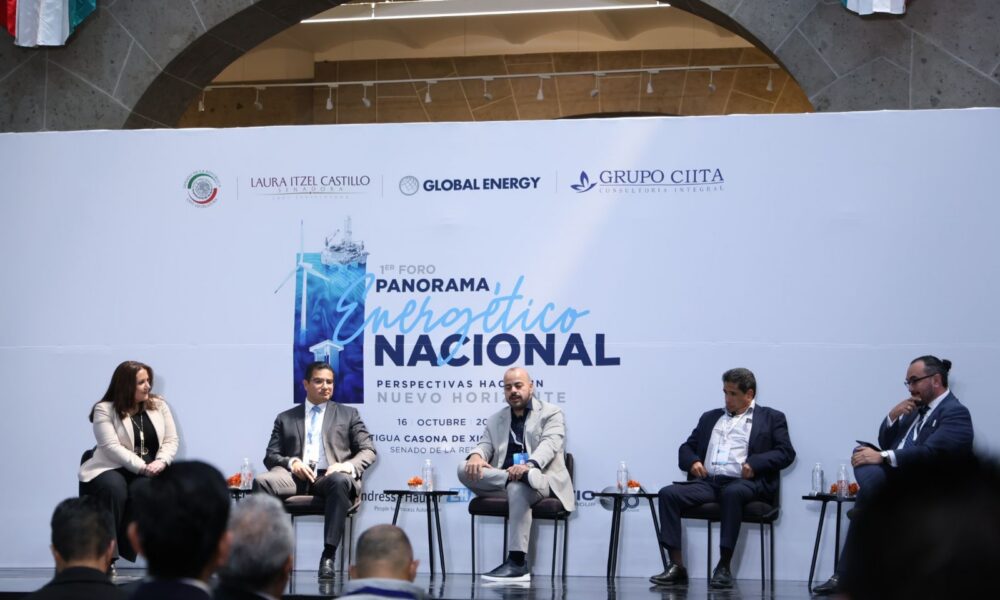 PRIMER FORO PANORAMA ENERGÉTICO NACIONAL