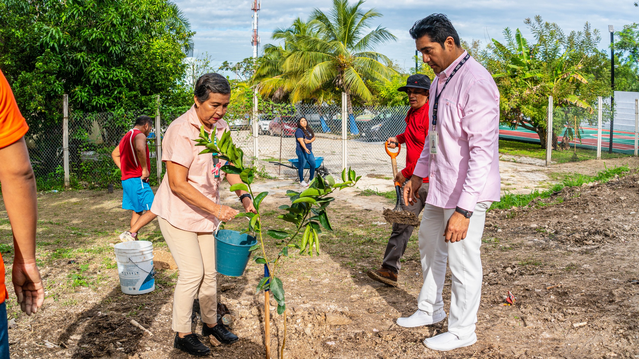 LA SDA IMPULSA LA REFORESTACIÓN EN CAMPECHE