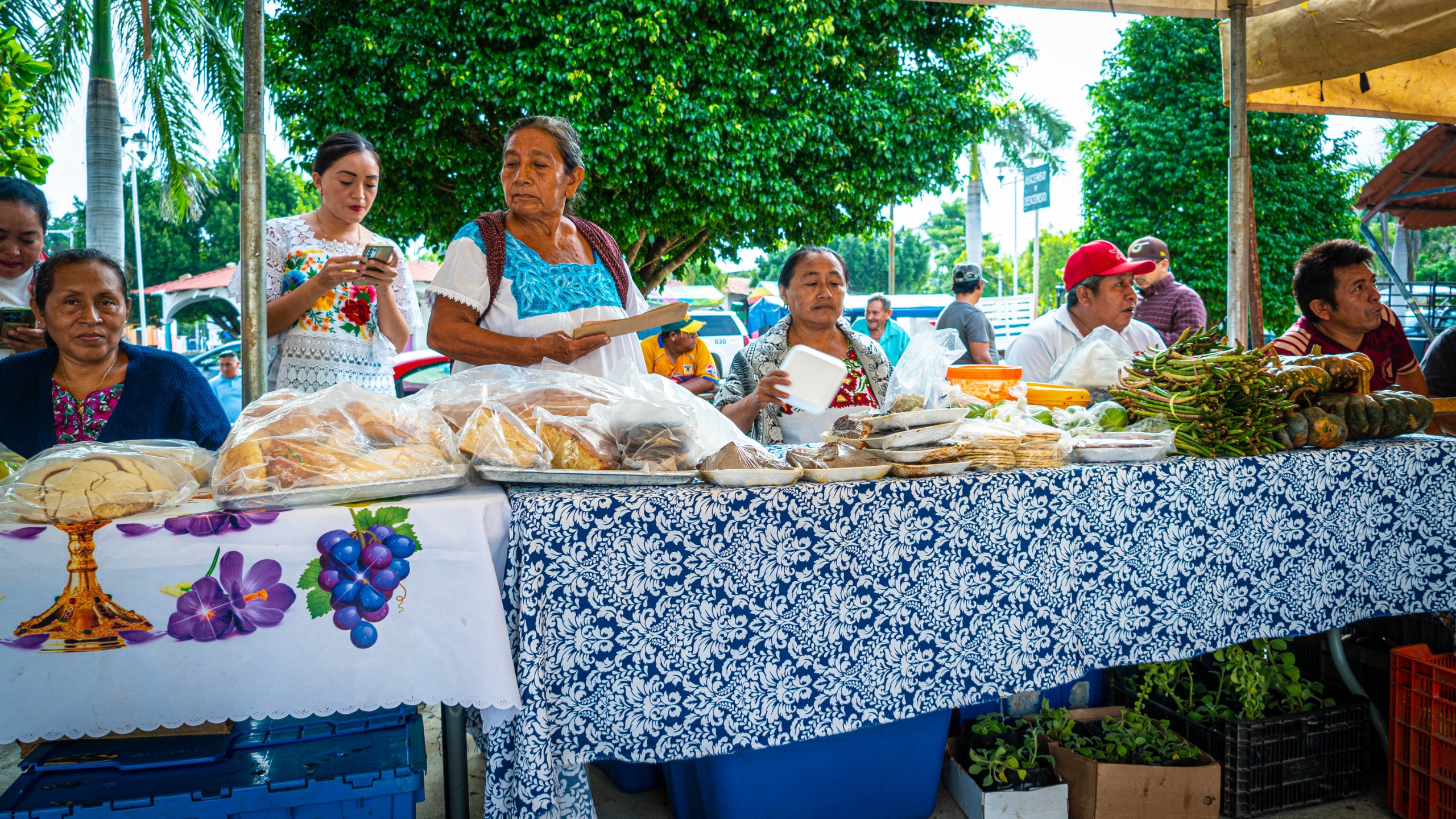 ÉXITO ROTUNDO EN LA SEGUNDA FERIA DE PRODUCTOS AGROPECUARIOS 2024