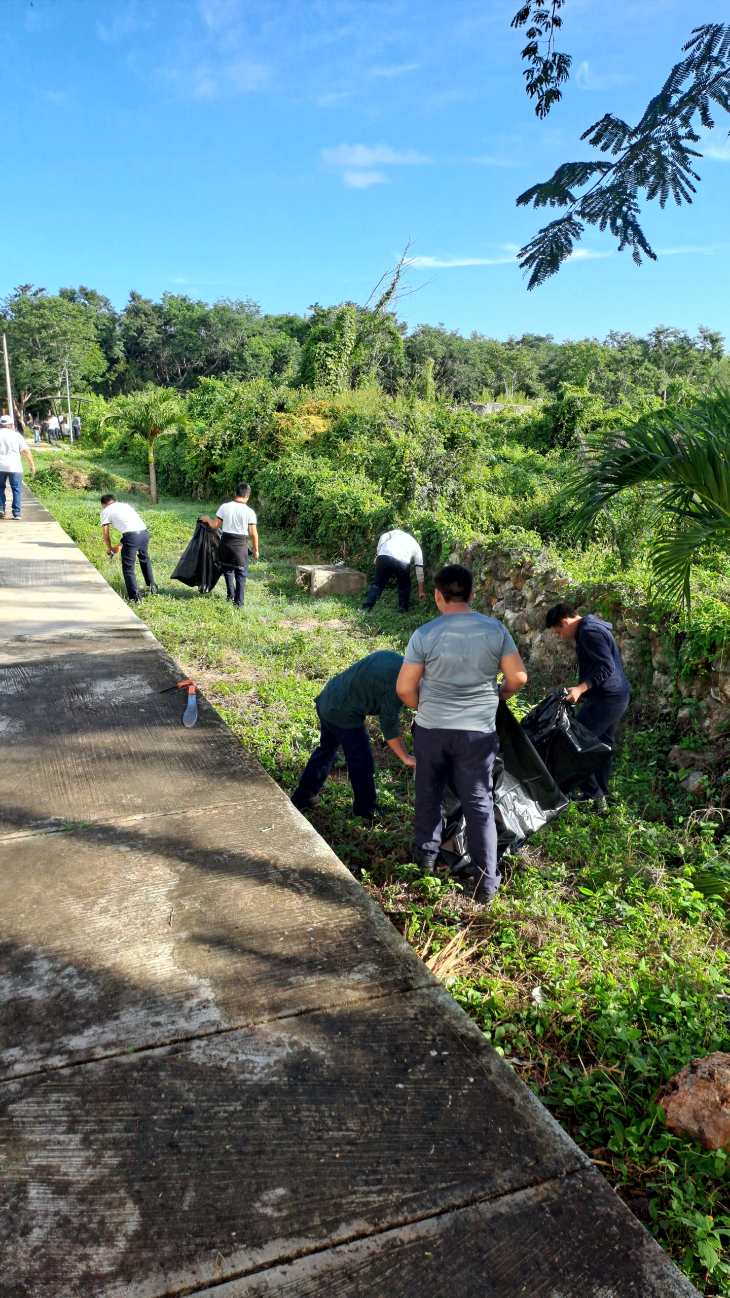 PARTICIPACION ALUMNOS PLANTEL DZITBALCHÉ SEMANA DE SERVICIO A LA COMUNIDAD ALUMNOS PARTICIPAN EN ACTIVIDADES DE APOYO A LA COMUNIDAD SE REALIZO LIMPIEZA DE LA CALLE 18 Y PARQUE DE LAS LETRAS DE DZTIBALCHÉ