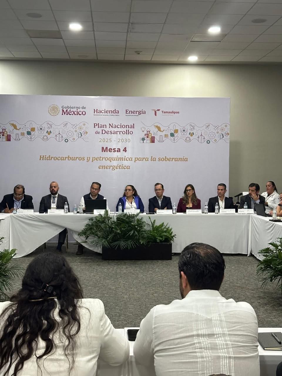 MESA 4: HIDROCARBUROS Y PETROQUÍMICOS PARA LA SOBERANÍA ENERGÉTICA