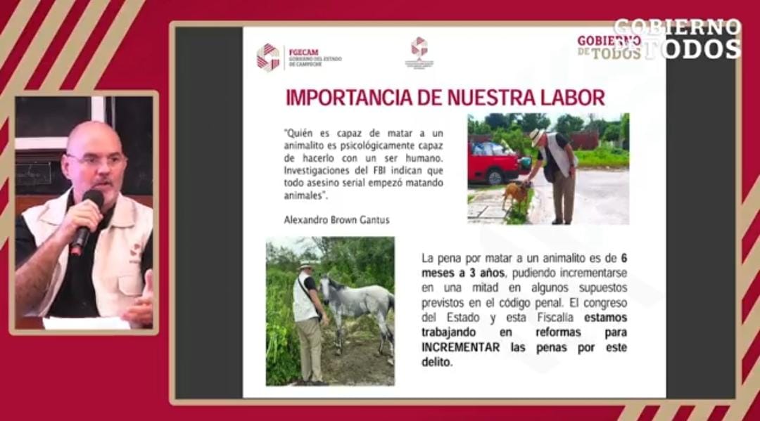FISCALÍA BUSCA INCREMENTAR LAS PENALIDADES POR MALTRATO ANIMAL; INVITAN A LA AUTORIDAD MUNICIPAL A REALIZAR UN CENSO DE ANIMALES DOMÉSTICOS