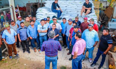 APOYAN A PDODUCTORES CON ALIMENTACIÓN PARA LAS ABEJAS: SDA