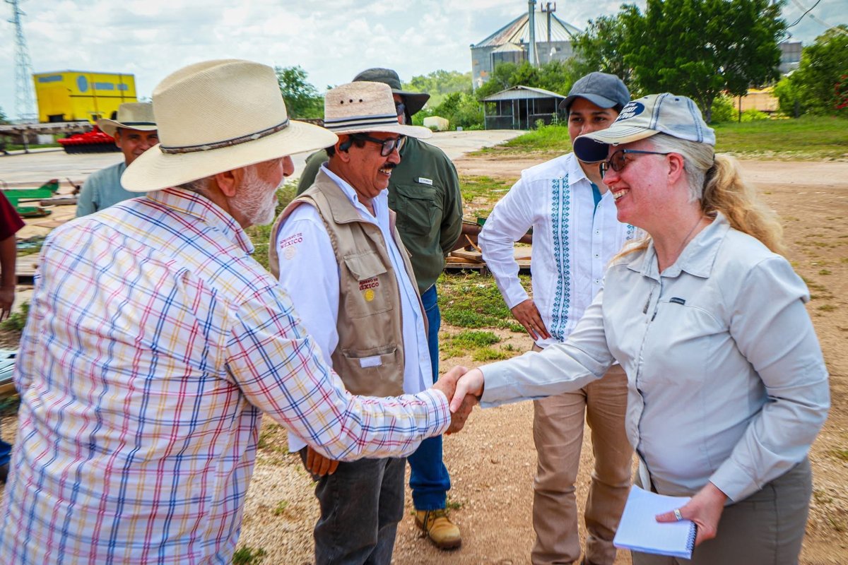 IMPULSO AL SECTOR ARROCERO CON EL PLAN CAMPECHE Y PLAN MÉXICO
