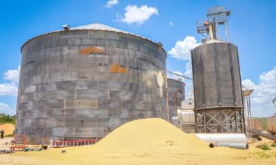 IMPULSO AL SECTOR ARROCERO CON EL PLAN CAMPECHE Y PLAN MÉXICO