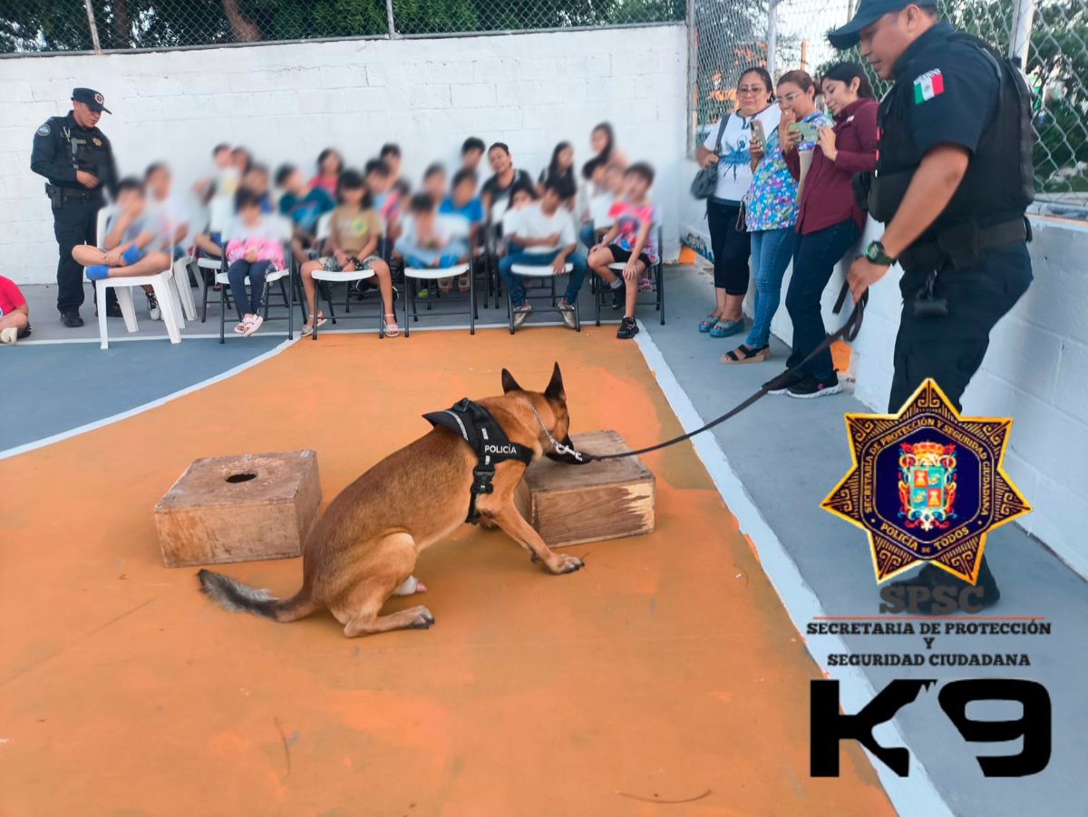 EXHIBICIÓN CANINA EN EL CENTRO COMUNITARIO LINDAVISTA