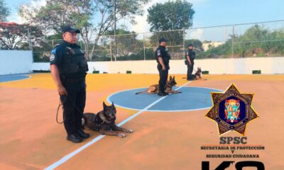 EXHIBICIÓN CANINA EN EL CENTRO COMUNITARIO LINDAVISTA