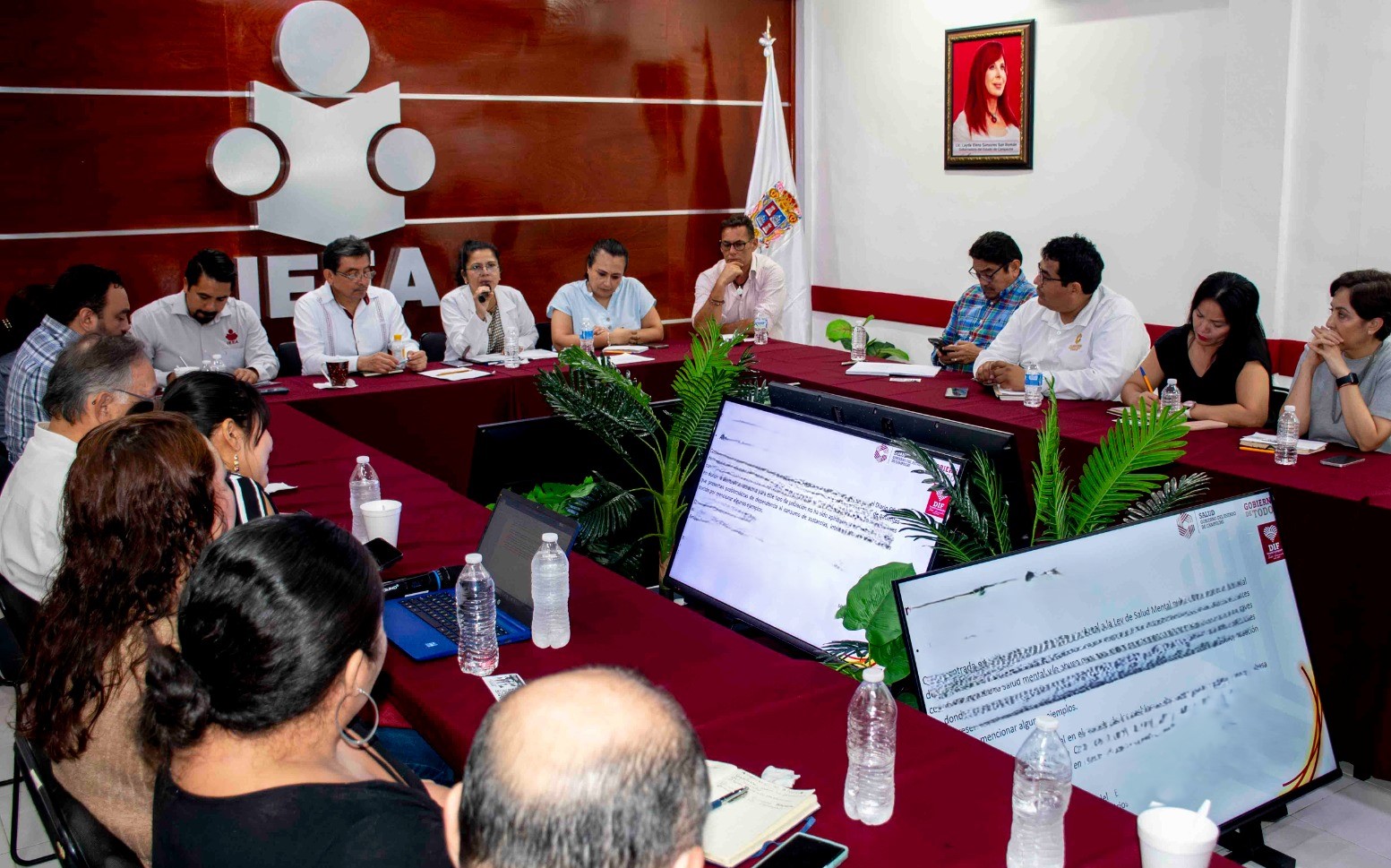 CREAN MESA INTERINSTITUCIONAL PARA LA ATENCIÓN DE LA SALUD MENTAL Y LAS ADICCIONES