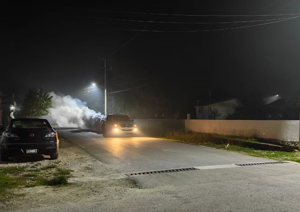 Intensifican Acciones Contra El Mosco Tránsmisor Del Dengue En Carmen Y Palizada