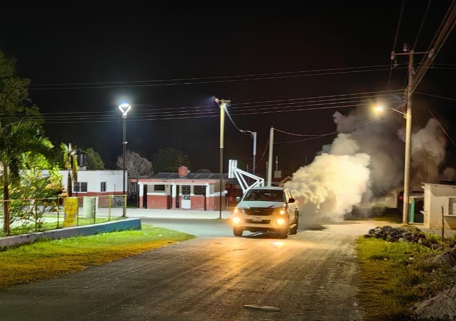 Intensifican Acciones Contra El Mosco Tránsmisor Del Dengue En Carmen Y Palizada