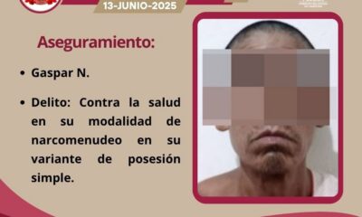 ASEGURAMIENTO POR DELITOS CONTRA LA SALUD Y POSIBLE RELACIÓN CON DELITOS CONTRA ANIMALES
