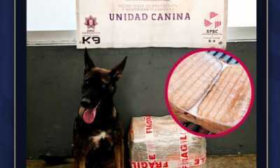 ASEGURAMIENTO DE PAQUETE CON NARCÓTICOS