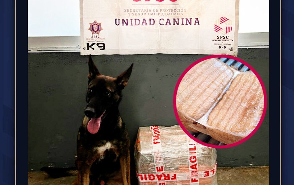 ASEGURAMIENTO DE PAQUETE CON NARCÓTICOS