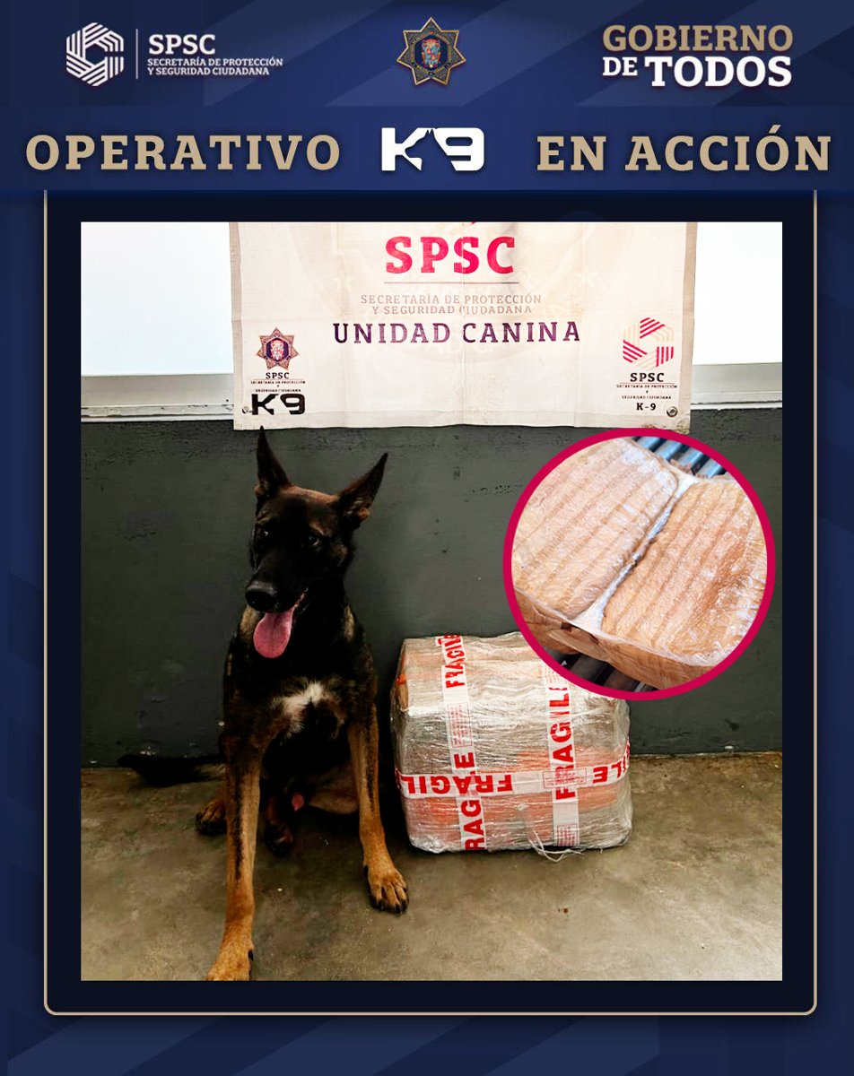 ASEGURAMIENTO DE PAQUETE CON NARCÓTICOS