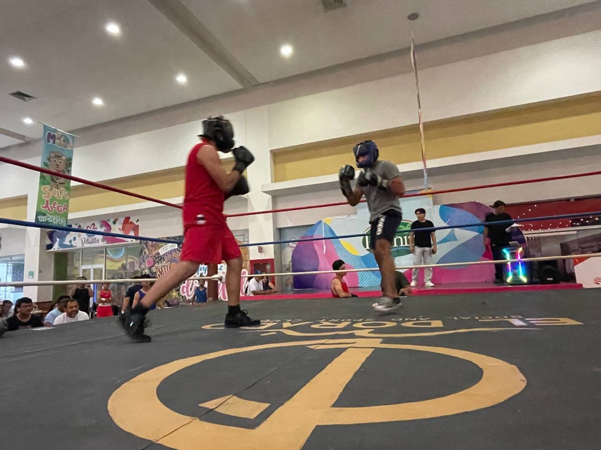 ESPECTACULAR TARDE DE BOXEO EN CARMEN: MÁS DE 40 ATLETAS AMATEUR ENCENDIERON LA PLAZA PALMIRA