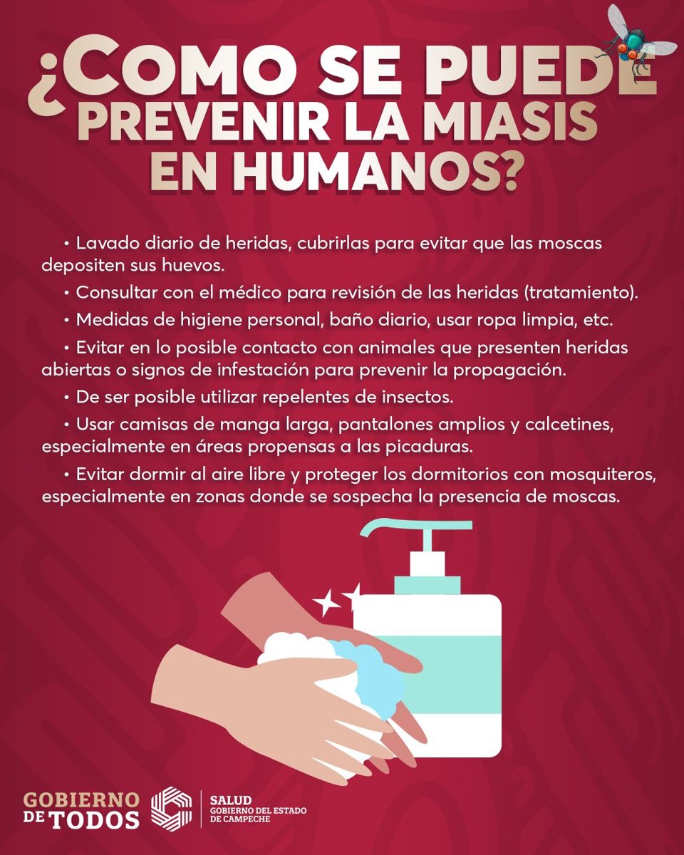 EXHORTAN A SEGUIR RECOMENDACIONES PARA PREVENIR LA MIASIS EN HUMANOS