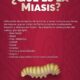 EXHORTAN A SEGUIR RECOMENDACIONES PARA PREVENIR LA MIASIS EN HUMANOS