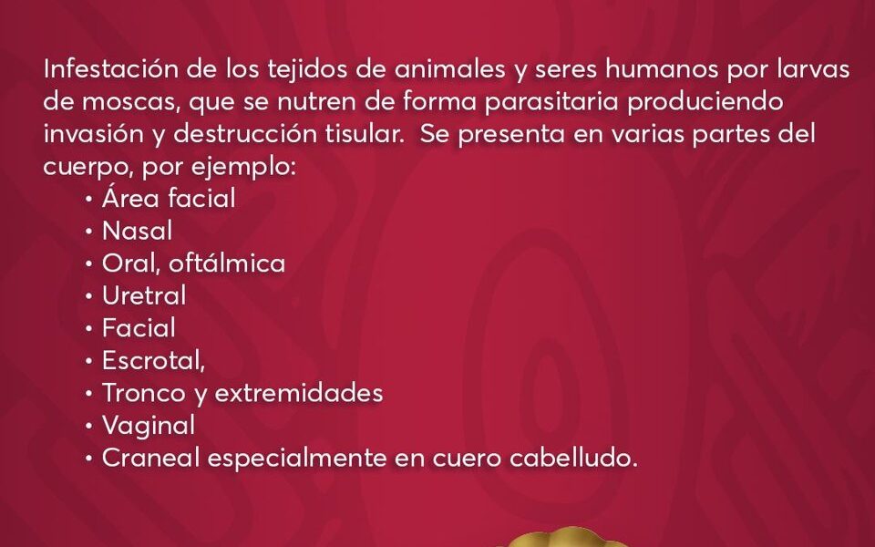 EXHORTAN A SEGUIR RECOMENDACIONES PARA PREVENIR LA MIASIS EN HUMANOS