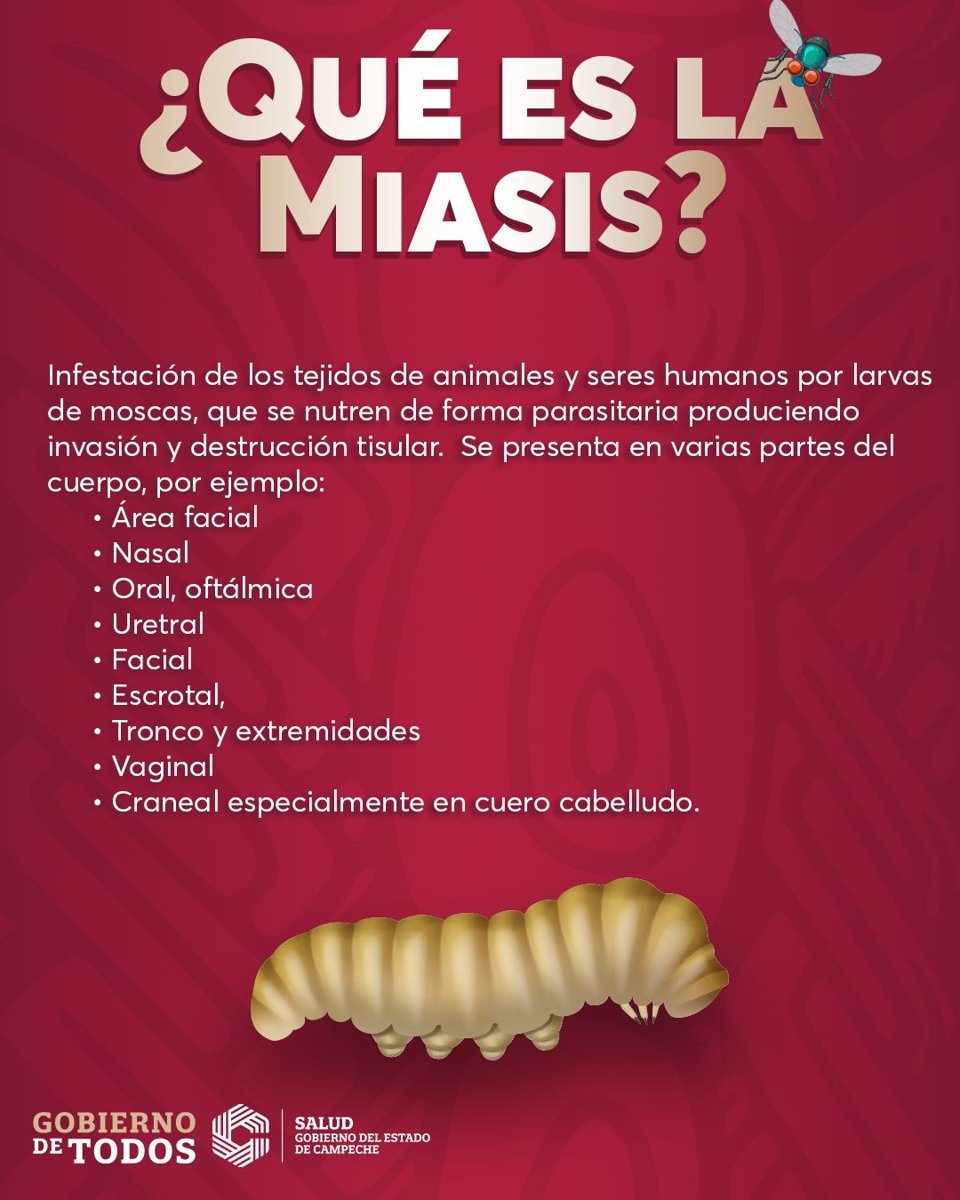 EXHORTAN A SEGUIR RECOMENDACIONES PARA PREVENIR LA MIASIS EN HUMANOS