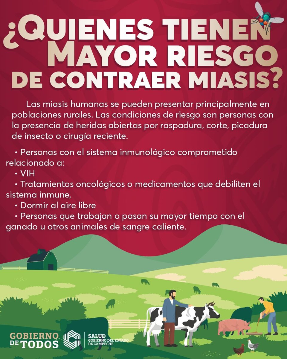 EXHORTAN A SEGUIR RECOMENDACIONES PARA PREVENIR LA MIASIS EN HUMANOS