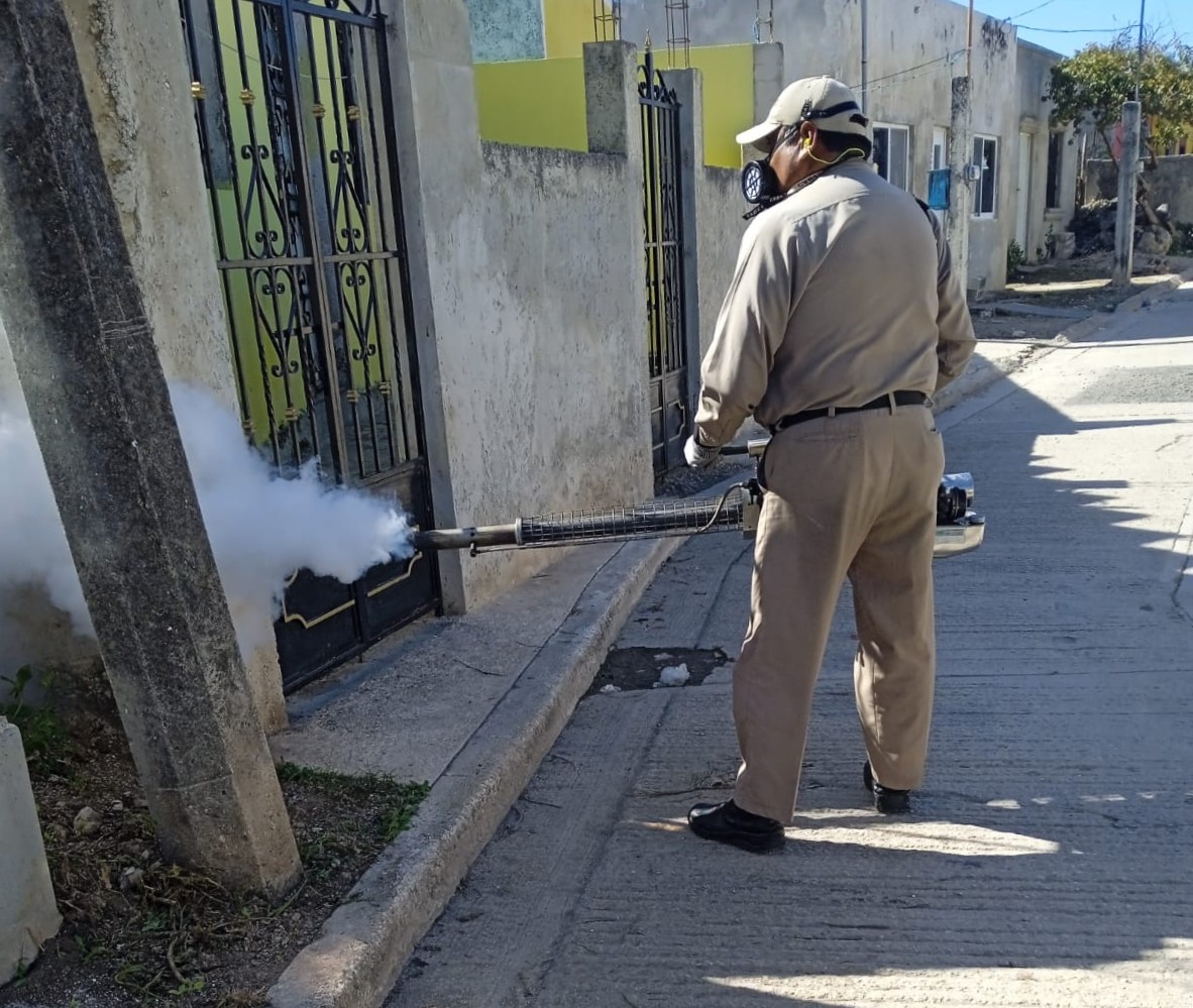 ELIMINADOS CON CONTROL LARVARIO, 184 MIL 817 DEPOSITOS DE AGUA PARA EVITAR EL DENGUE