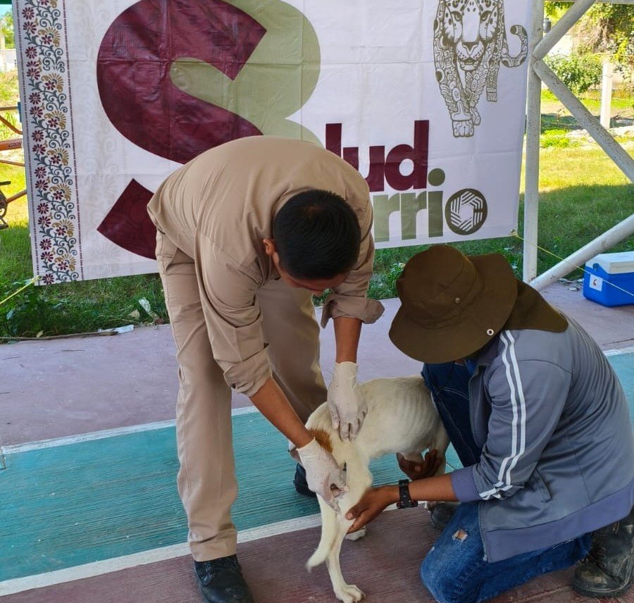 PROTEGIMOS A LAS FAMILIAS DE CARMEN Y ESCÁRCEGA CON SALUD EN TU BARRIO