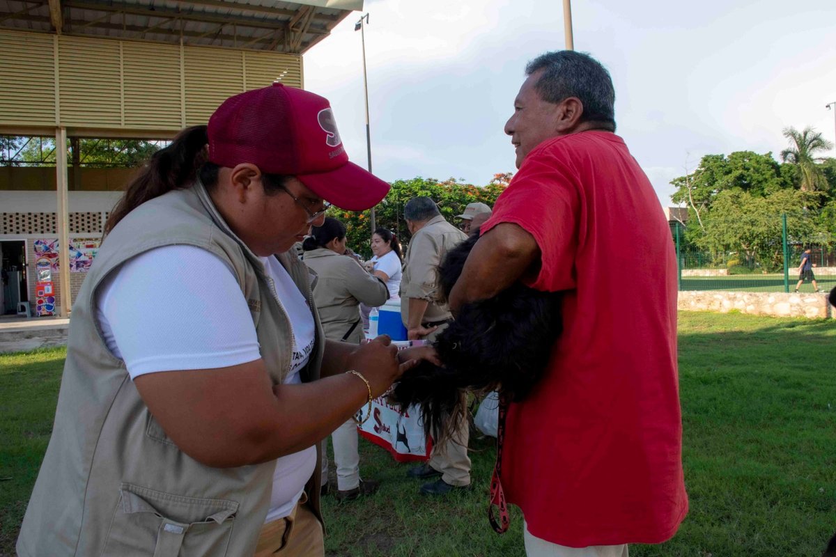 SERVICIOS GRATUITOS DE SALUD EN TU BARRIO EN COLONIA PRESIDENTES DE MÉXICO
