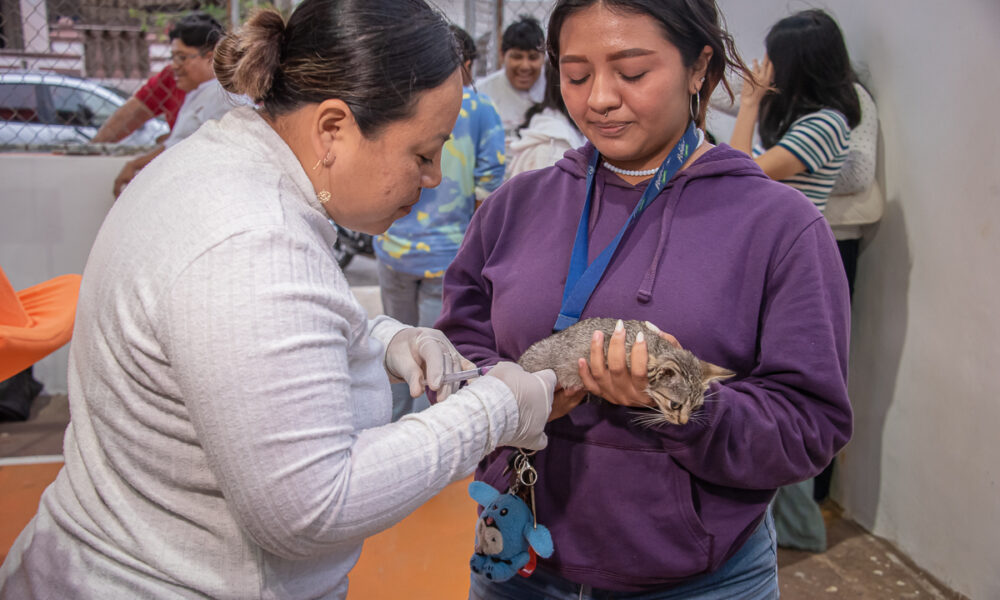 BENEFICIAN A FAMILIAS DE JARDINES CON SALUD EN TU BARRIO