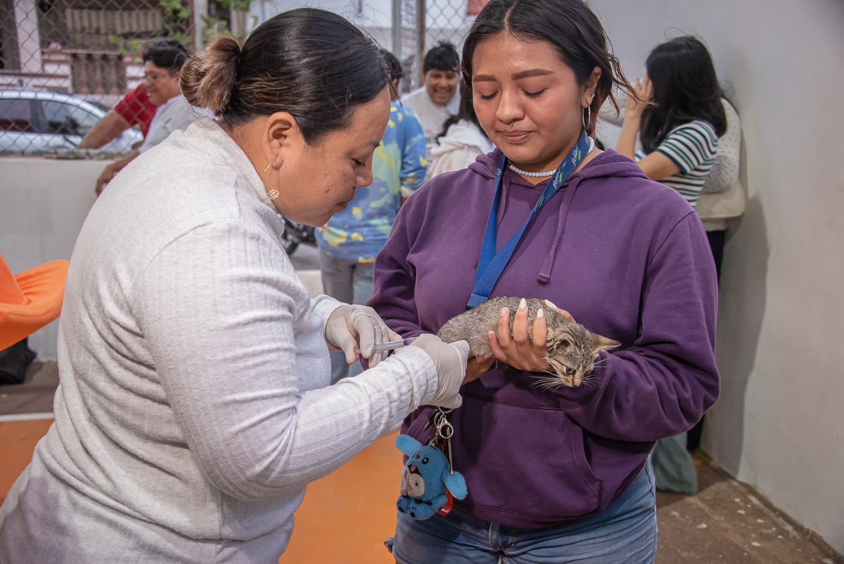 BENEFICIAN A FAMILIAS DE JARDINES CON SALUD EN TU BARRIO