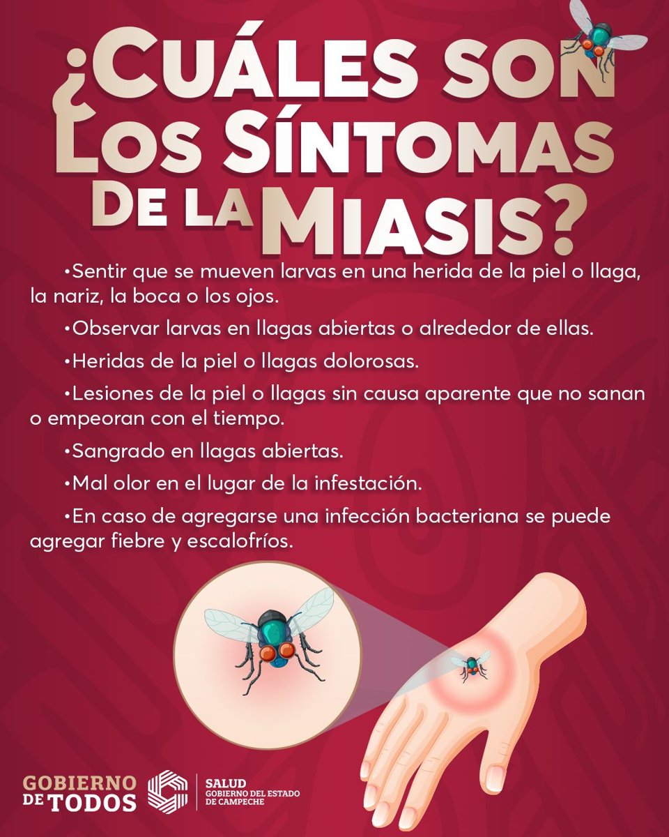 EXHORTAN A SEGUIR RECOMENDACIONES PARA PREVENIR LA MIASIS EN HUMANOS