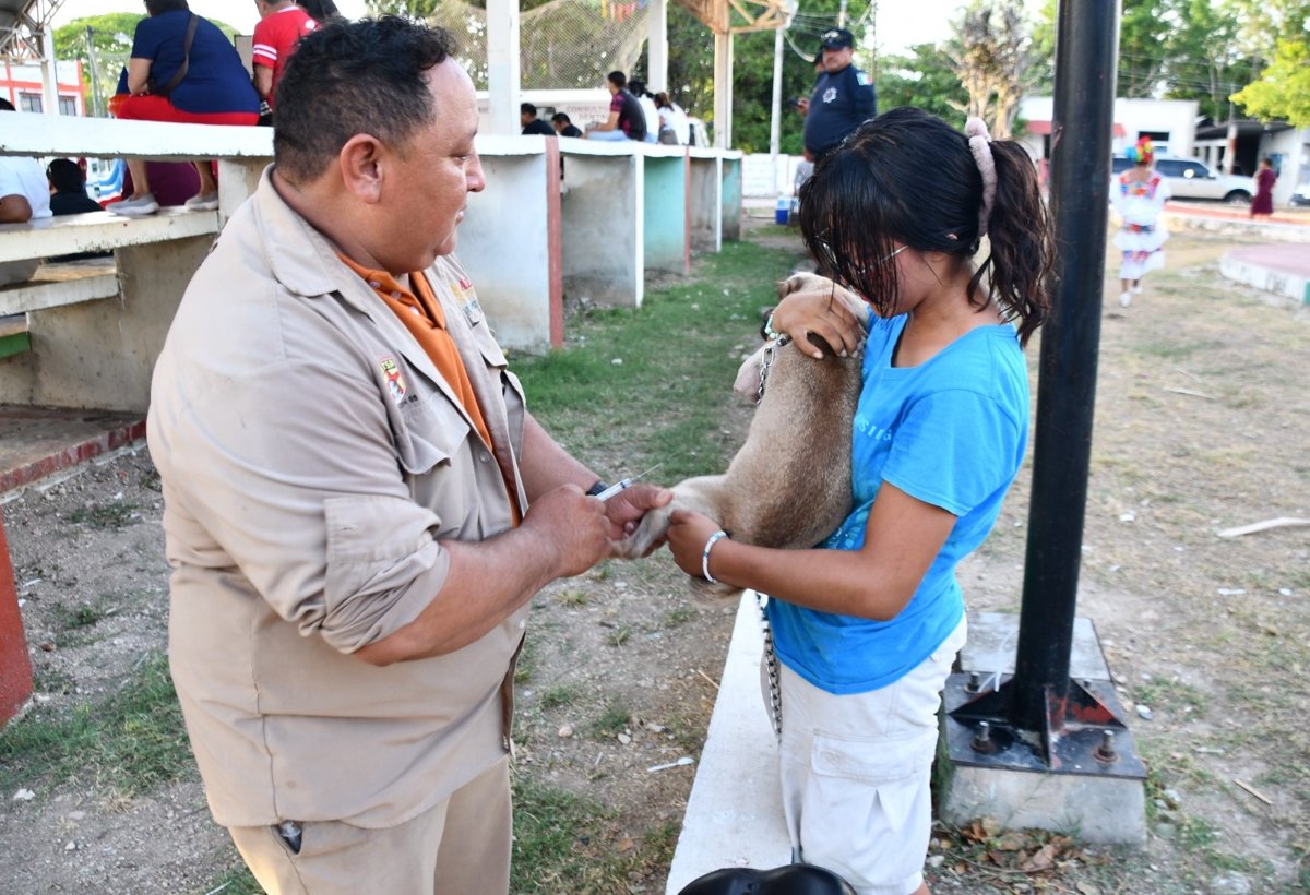 PROTEGIDOS 60 MIL 611 PERROS Y GATOS CONTRA LA RABIA EN LOS 13 MUNICIPIOS