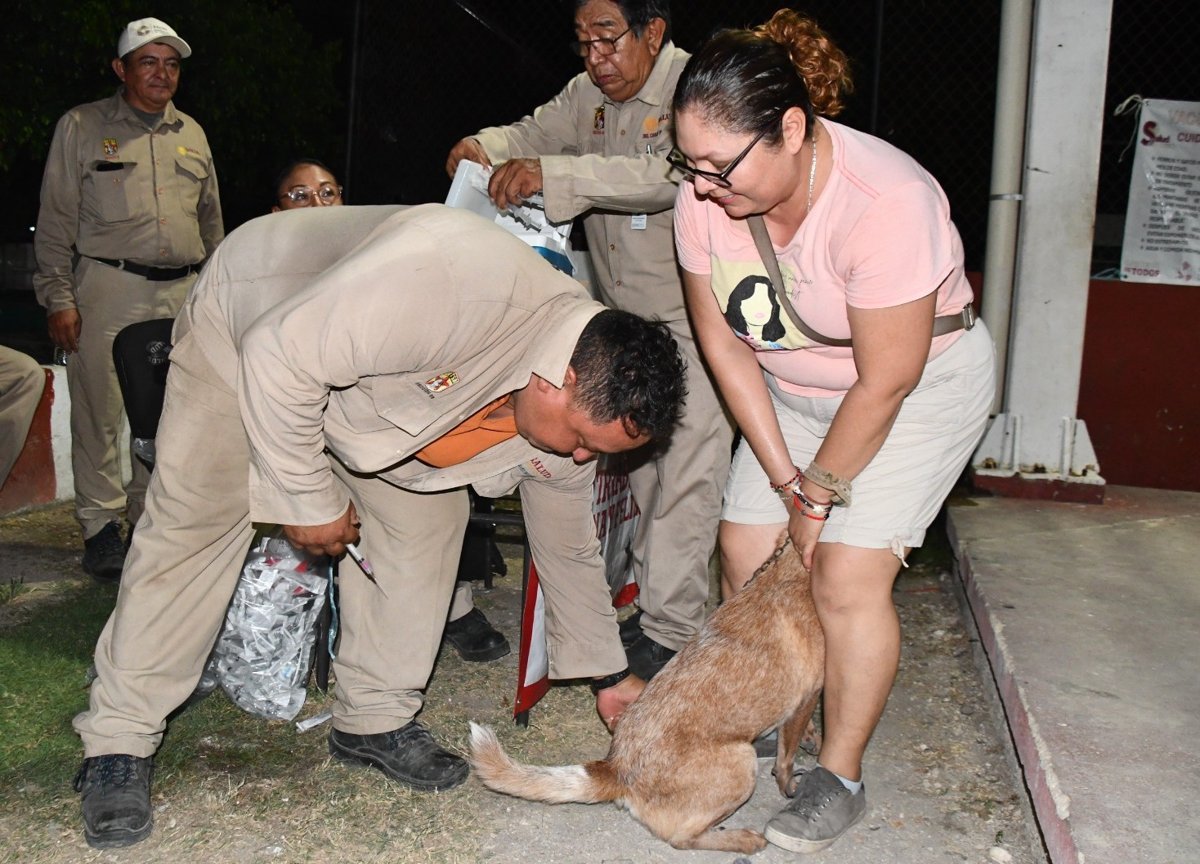 PROTEGIDOS 60 MIL 611 PERROS Y GATOS CONTRA LA RABIA EN LOS 13 MUNICIPIOS