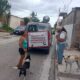 INTENSIFICA SSA ACCIONES PARA MANTENER A CAMPECHE LIBRE DE RABIA