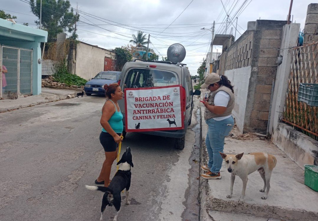 INTENSIFICA SSA ACCIONES PARA MANTENER A CAMPECHE LIBRE DE RABIA