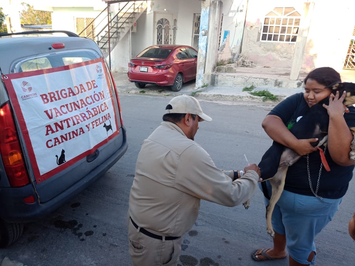 INTENSIFICA SSA ACCIONES PARA MANTENER A CAMPECHE LIBRE DE RABIA