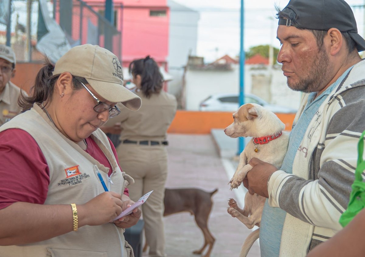 APLICAN MÁS DE 8 MIL VACUNAS ANTIRRÁBICAS EN UNA SEMANA