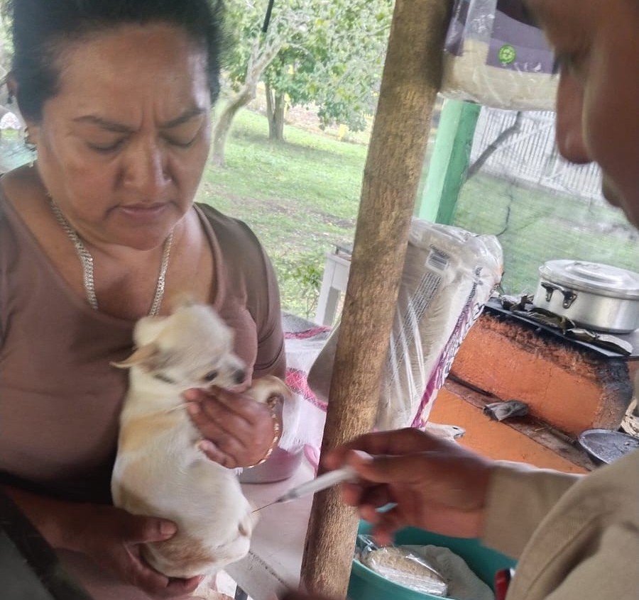 APLICADAS 110,875 DOSIS DE VACUNA ANTIRRÁBICA EN CAMPECHE