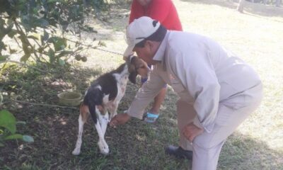 PROTEGIDOS 60 MIL 611 PERROS Y GATOS CONTRA LA RABIA EN LOS 13 MUNICIPIOS