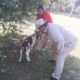 PROTEGIDOS 60 MIL 611 PERROS Y GATOS CONTRA LA RABIA EN LOS 13 MUNICIPIOS