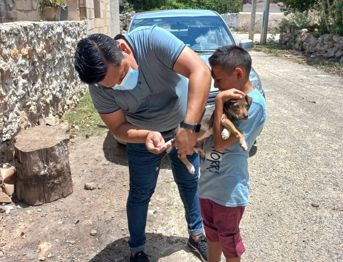 PROTEGEN A PERROS Y GATOS CONTRA LA RABIA EN TODO EL ESTADO