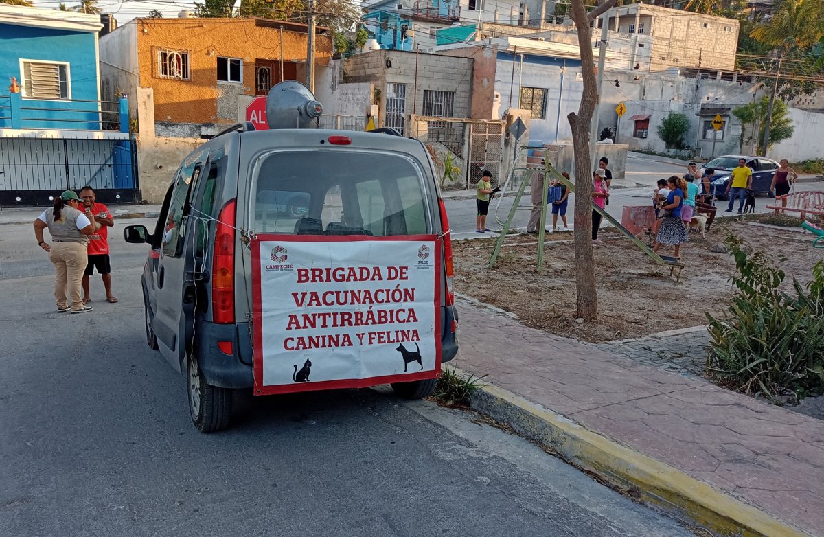 AVANZA CAMPECHE EN LA VACUNACIÓN ANTIRRÁBICA CANINA Y FELINA